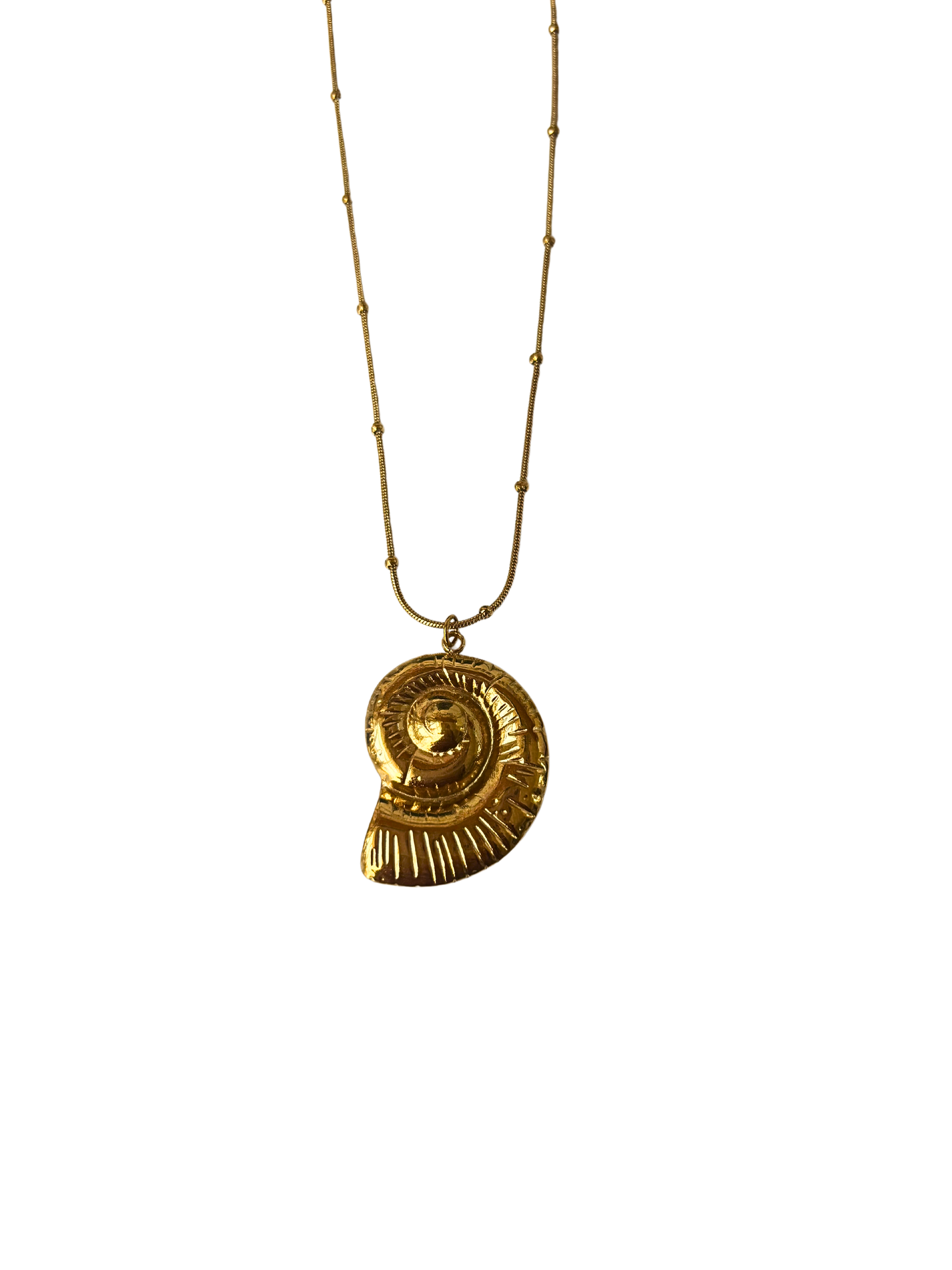 Big Shell - Necklace