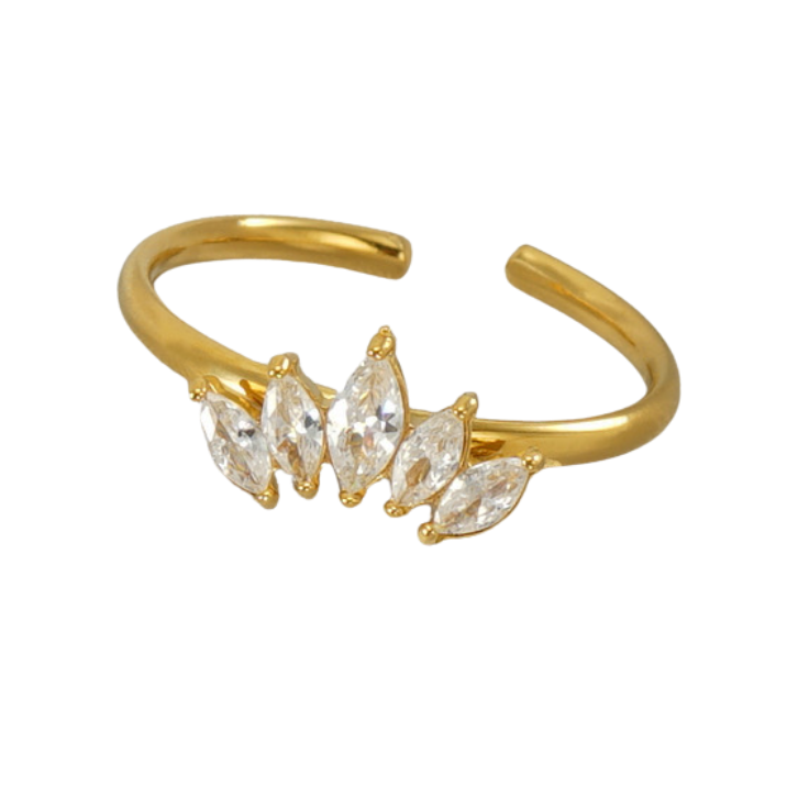 Crown - Ring