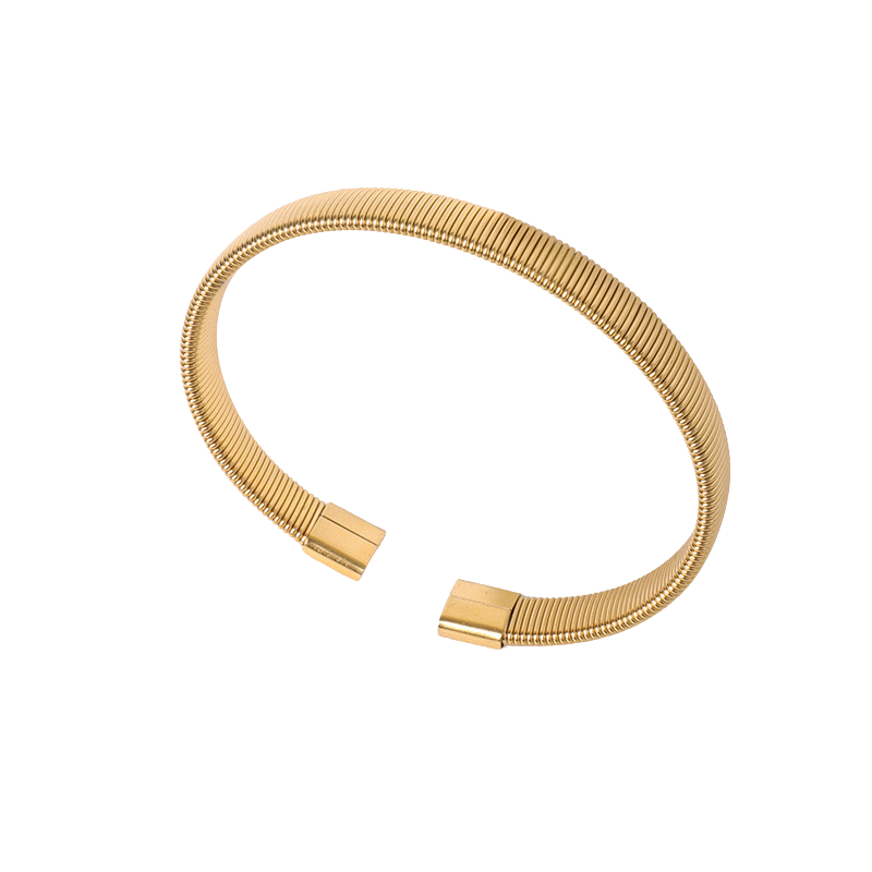 Zapp - Bangle