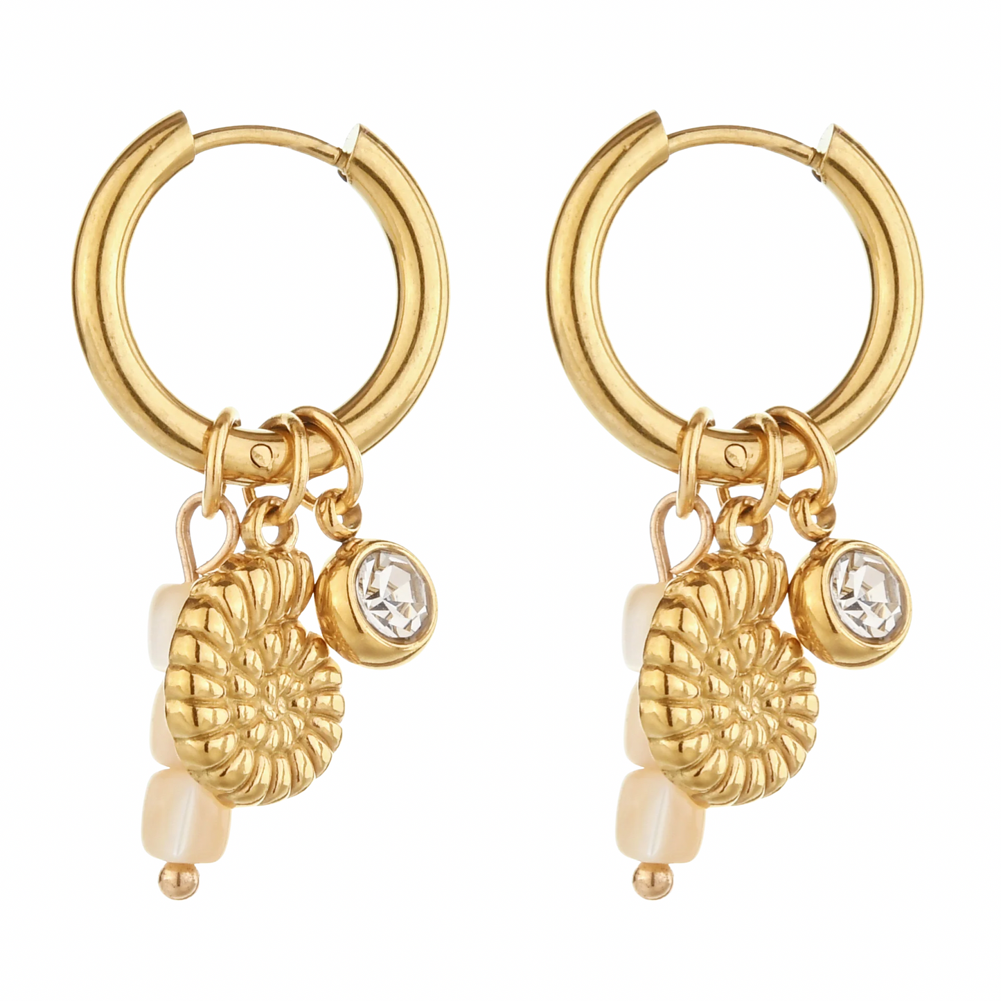 Shiny shell - Earrings