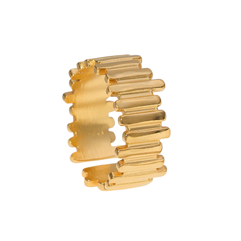 Zerschmettert - Ring