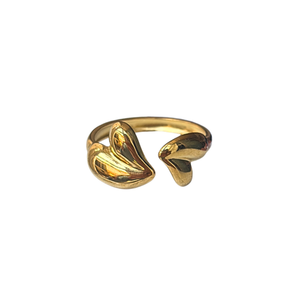 Twins - Ring