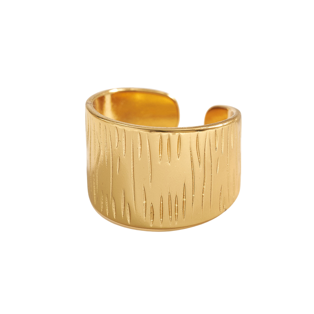 Zebra - Ring