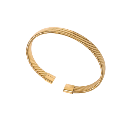 Zapp - Bangle