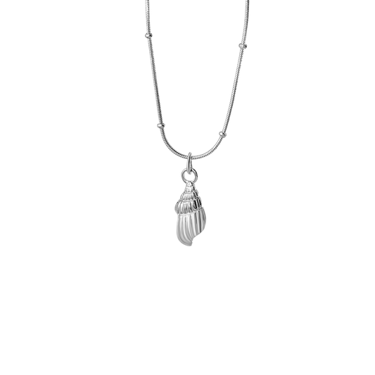 Shell - Necklace
