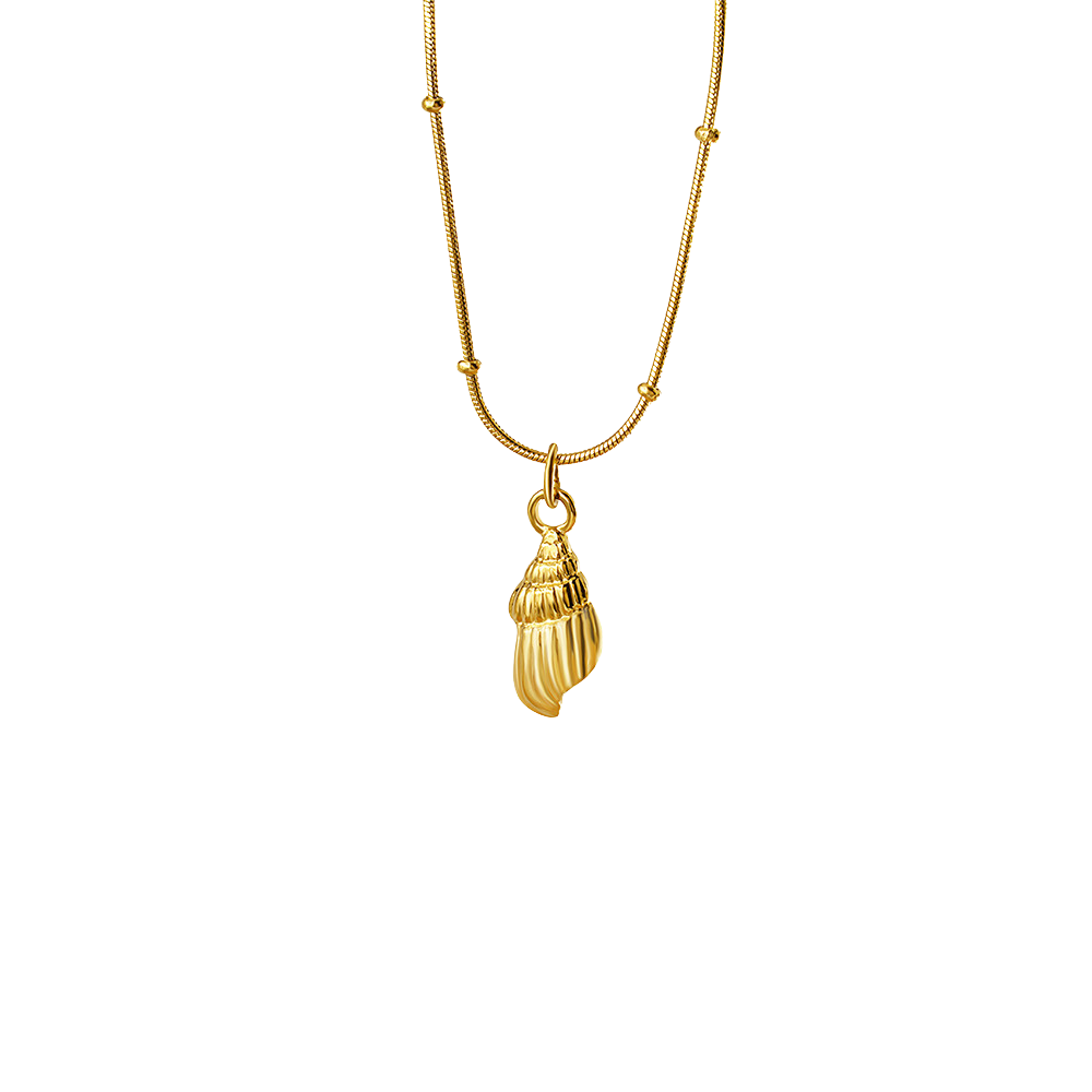 Shell - Necklace