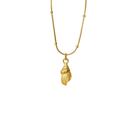 Shell - Necklace