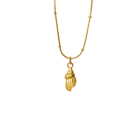 Shell - Necklace