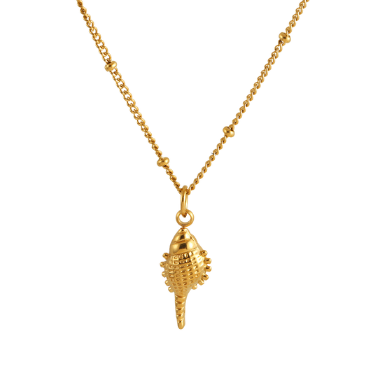 Shell - Necklace