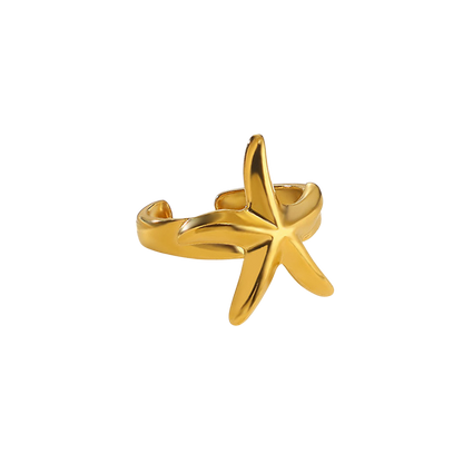 Tiny star - Ring